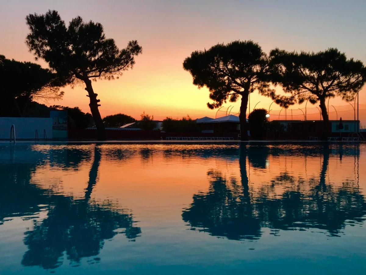 Hotel D'Amato Peschici Eksteriør bilde